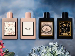 các dòng nước hoa Gucci Bloom