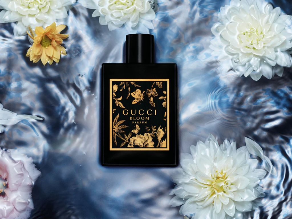 Trong số các dòng nước hoa Gucci Bloom, phiên bản Gucci Bloom Parfum được xem là cội nguồn tạo nên sức hút đặc biệt cho cả bộ sưu tập