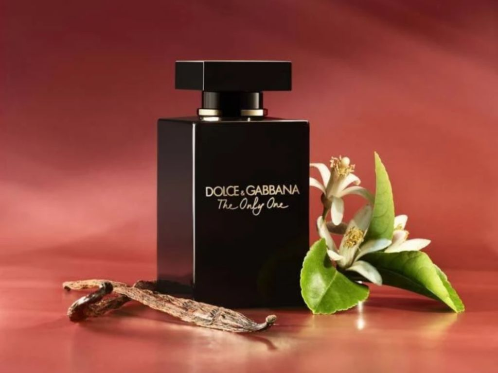 Phiên bản nâng cấp của The Only One, EDP Intense là sự kết hợp táo bạo giữa cam chín mọng, hoa cam quyến rũ và dừa béo ngậy