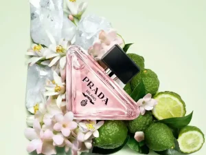 Prada Paradoxe Virtual Flower EDP tinh tế và đẳng cấp