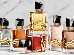 Về thương hiệu YSL xa xỉ