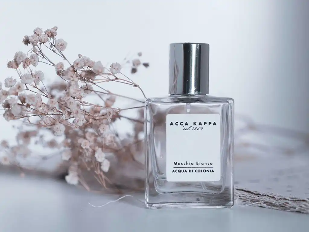 Shop Nước Hoa Tại Hải Phòng: 5 Địa Chỉ Được Yêu Thích Nhất