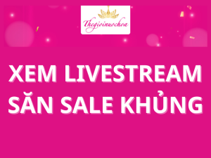 Read more about the article THÔNG BÁO LỊCH LIVESTREAM THÁNG 12