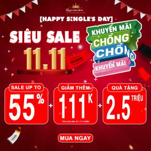 Read more about the article SIÊU SALE 11.11 – KHUYẾN MÃI CHỒNG KHUYẾN MÃI