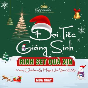 Read more about the article ĐẠI TIỆC GIÁNG SINH – RINH SET QUÀ XỊN