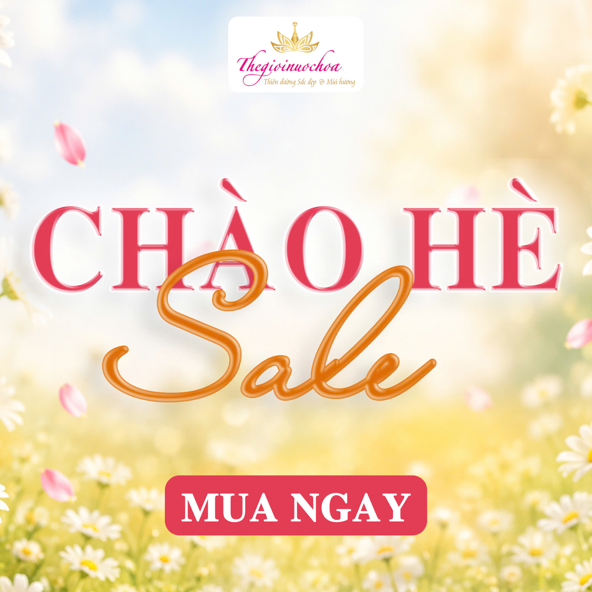 You are currently viewing SALE CHÀO HÈ
