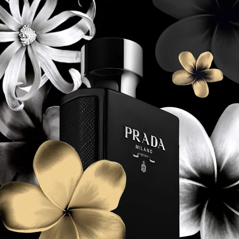Hương thơm của Prada L'Homme Intense