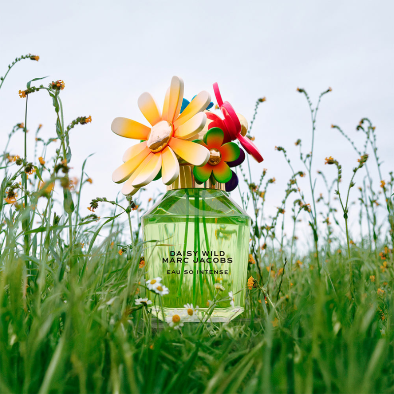 Marc Jacobs Daisy Wild Eau So Intense tươi mát, mới mẻ