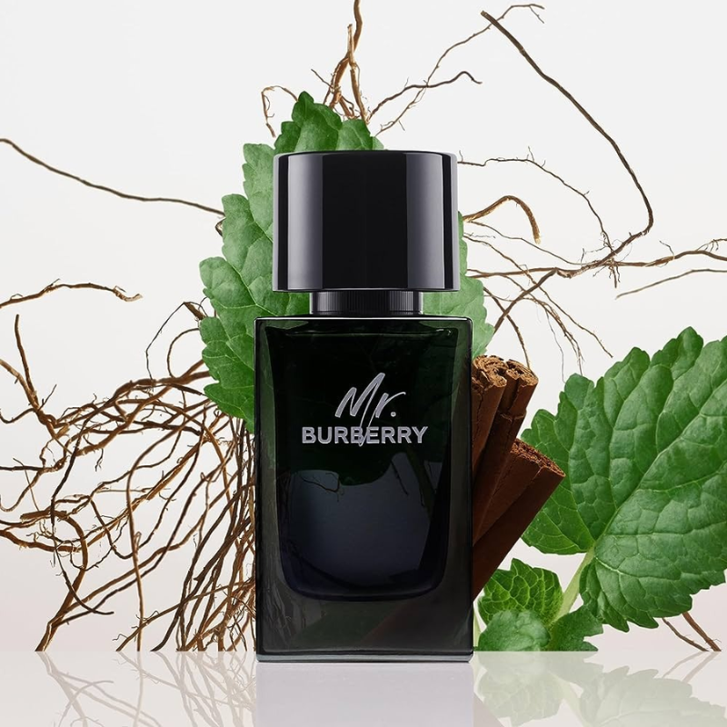 Mr Burberry nam tính và phá cách