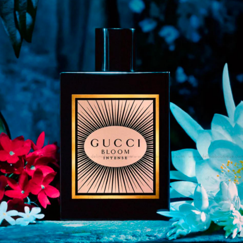 GUCCI-BM-EDPIN-EDP-1