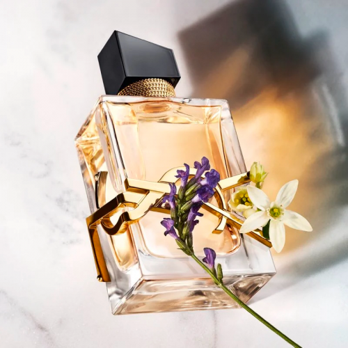 Libre-EDP-1