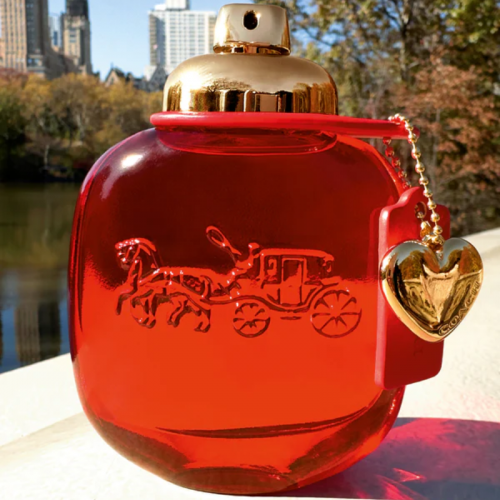 Coach-Love-EDP-3