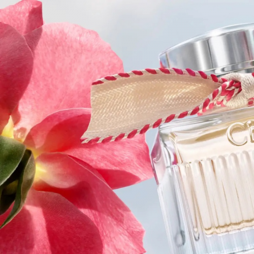 Chloé-Signature-Lumineuse-Roses-2