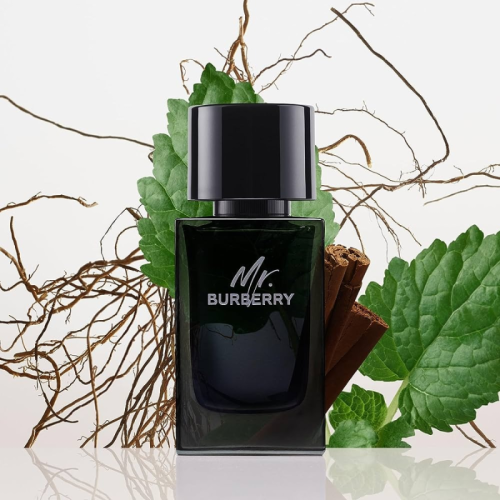 Mr-Burberry-EDP-nam-tinh-pha-cach