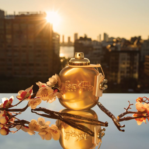 D&G-My-Devotion-EDP-Intense-1